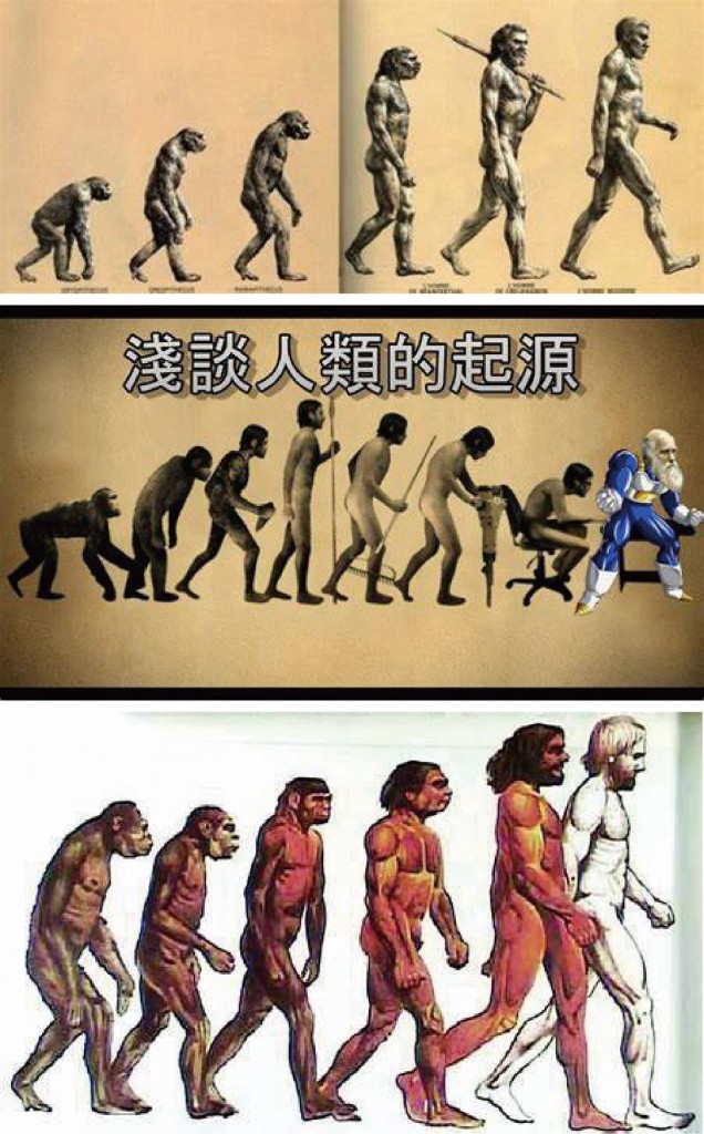 人類演化